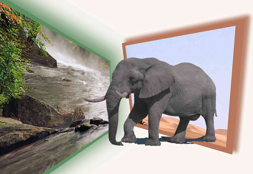 TITULO:  BUSCANDO VIDA